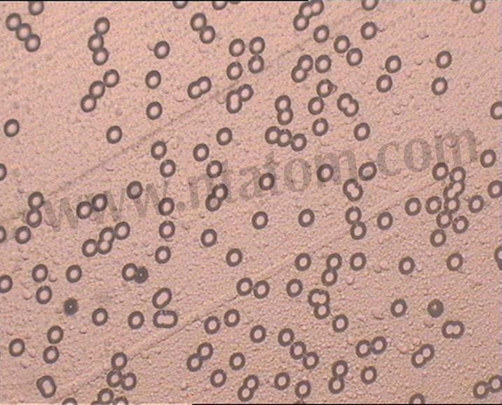 重離子微孔膜
