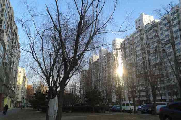 政華政馨 政華政馨