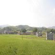 良秋村 良秋村