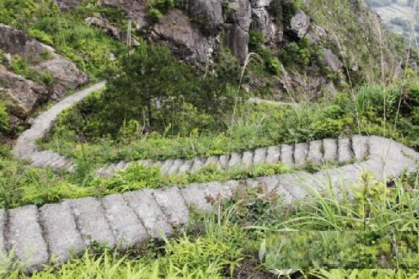 蒲尖山 蒲尖山