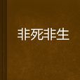非死非生