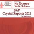 SAP Crystal Reports 2011 For Beginners