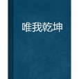 唯我乾坤 唯我乾坤