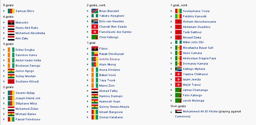 2008年加納非洲杯(2008年非洲國家杯)