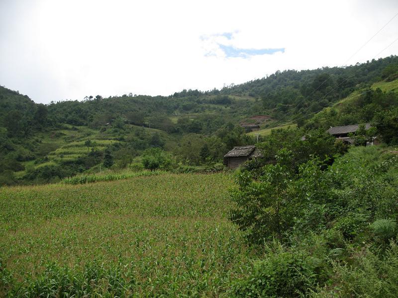 史措別村 史措別村
