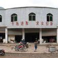 馬河村(雲南昭通市威信縣廟溝鄉下轄村)
