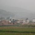金梅村 金梅村