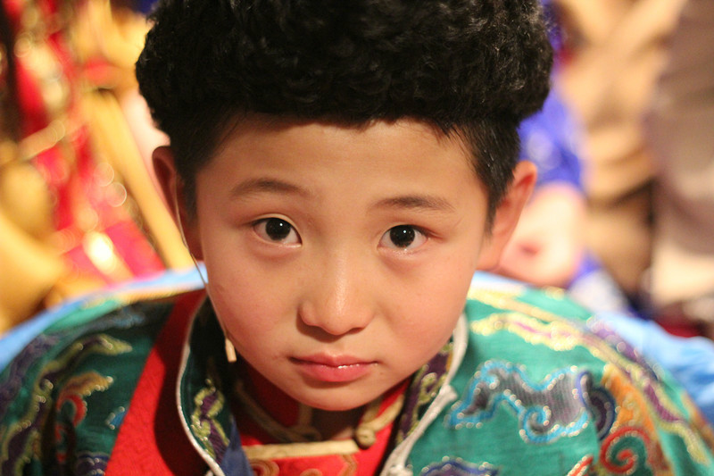 草原小狼 草原小狼