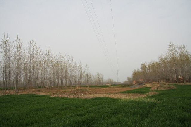 王墩遺址 王墩遺址