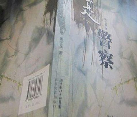 我是警察(2008年長江文藝出版社出版的圖書)