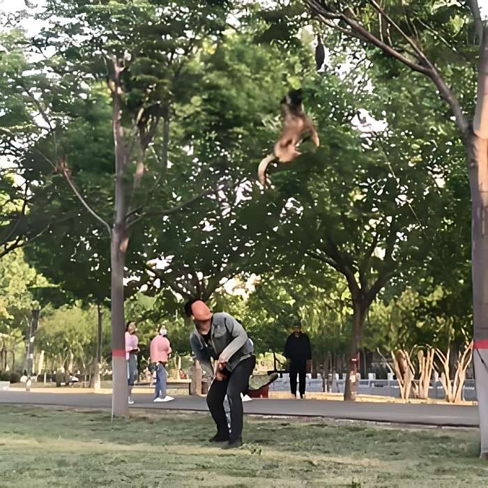 博愛小劉