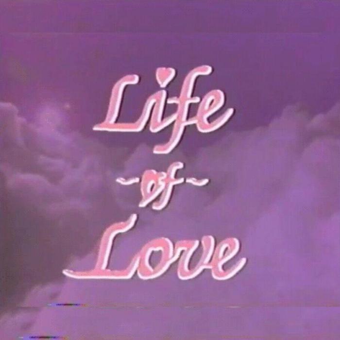 A False Love Song A False Love Song