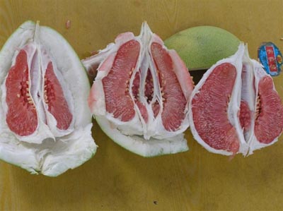 綠榮紅肉蜜柚專業合作社