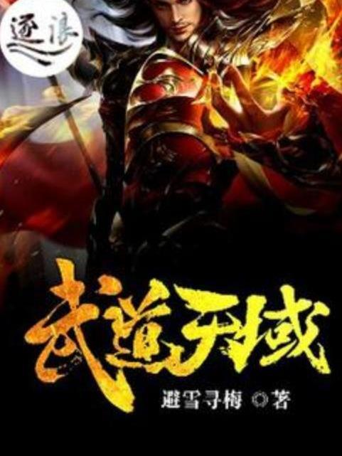 武道天域 武道天域
