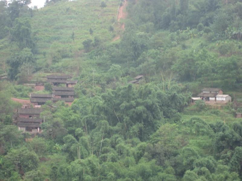 普思村 普思村