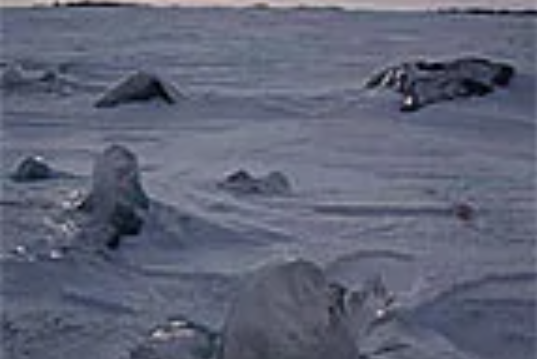 極地警戒站 極地警戒站