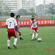 重慶市業餘足球聯賽(重慶業餘球隊聯盟主辦的業餘聯賽)
