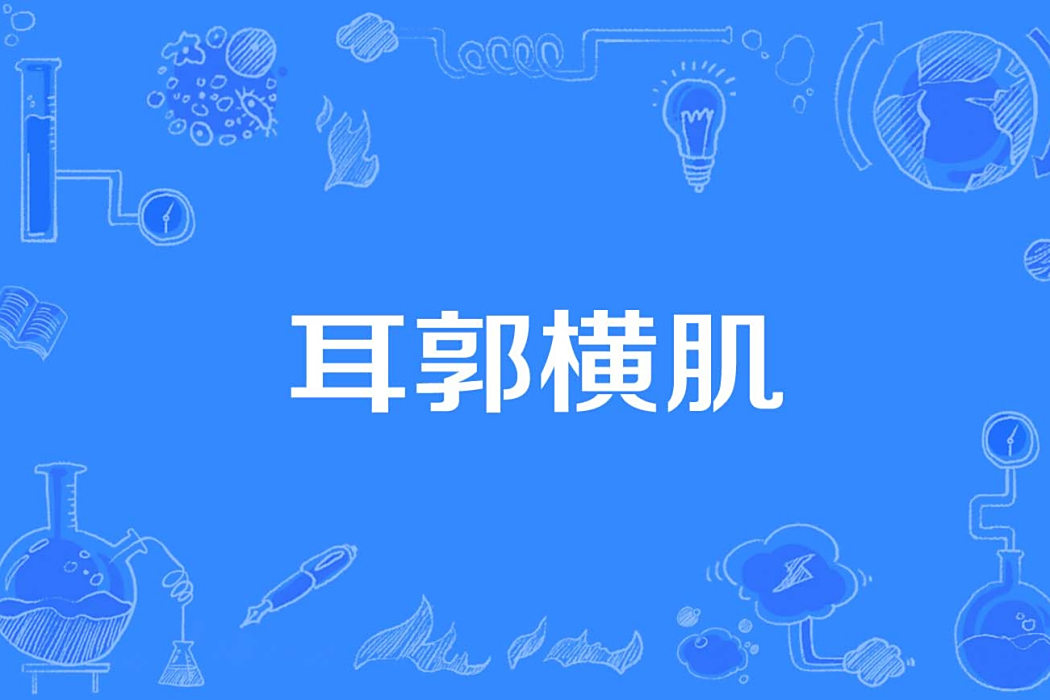 耳郭橫肌 耳郭橫肌