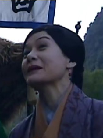 張嬌(古裝劇《本草藥王》中的角色) 張嬌(古裝劇《本草藥王》中的角色)