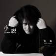 小說(2020年張巍原唱歌曲)