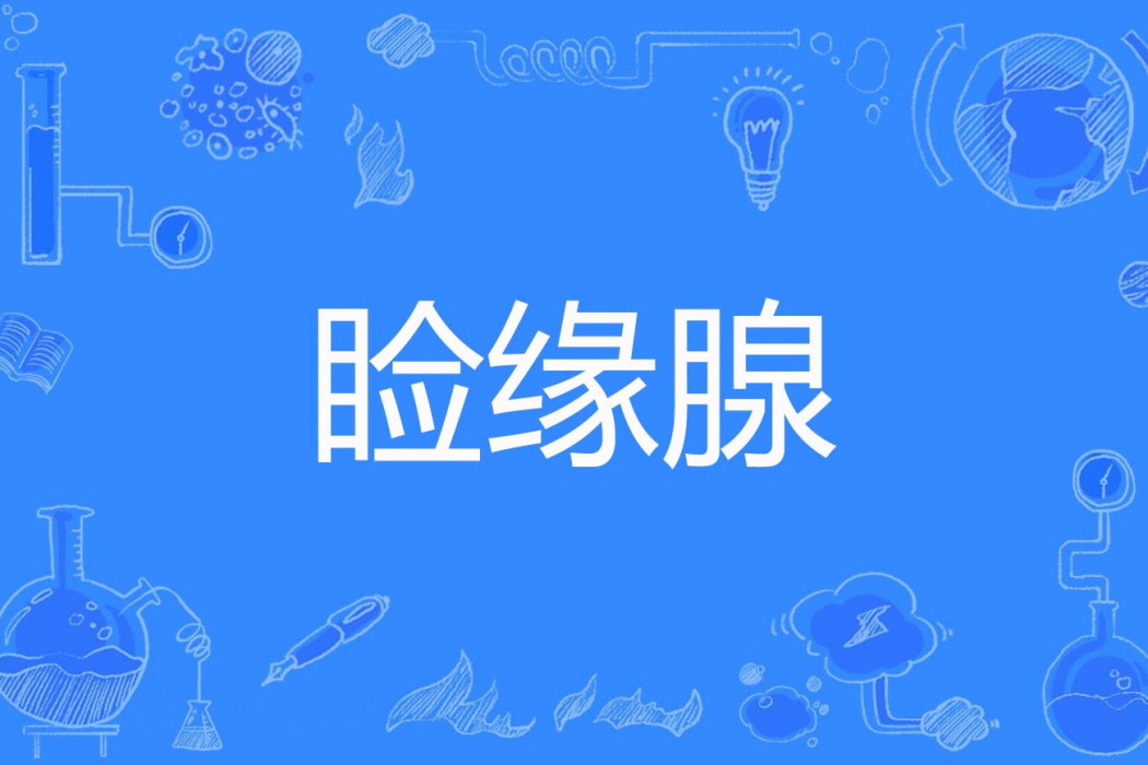 瞼緣腺 瞼緣腺