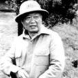 段希文 段希文