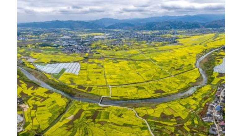 平江河(重慶市秀山縣境內的河流)