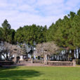 天姥寺 天姥寺