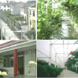 古佛村(四川省彭山區青龍鎮下轄村) 古佛村(四川省彭山區青龍鎮下轄村)