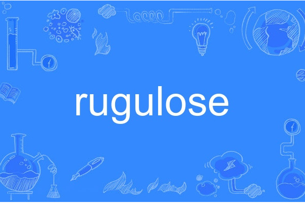 rugulose rugulose