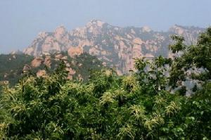 鱗龍山自然風景區