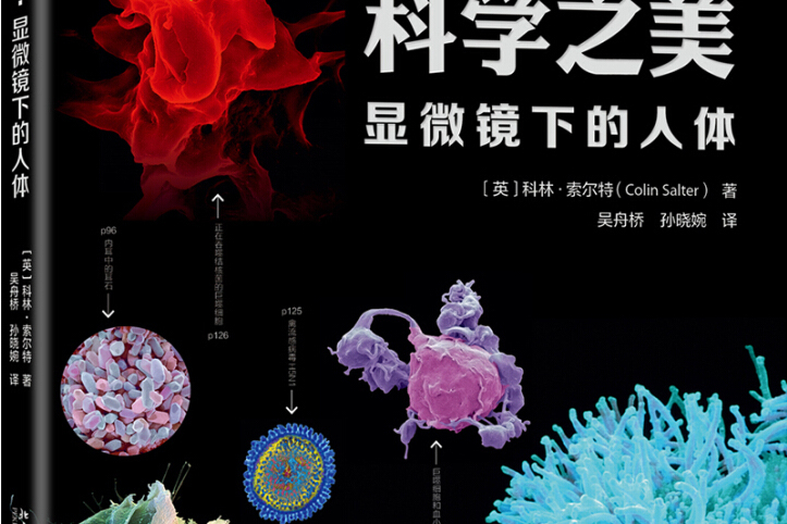 科學之美(北京大學出版社出版的圖書) 科學之美(北京大學出版社出版的圖書)