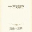 十三魂帝 十三魂帝