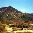 金陵遺址(北京金陵遺址) 金陵遺址(北京金陵遺址)