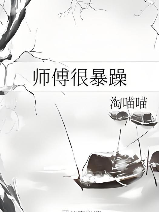 師傅很暴躁 師傅很暴躁