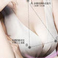 乳房(人體美學名詞) 乳房(人體美學名詞)