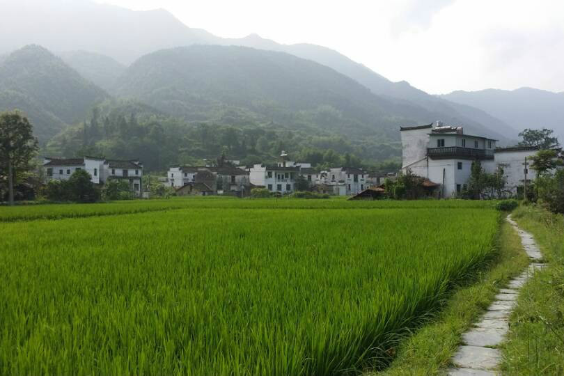 慶源村 慶源村