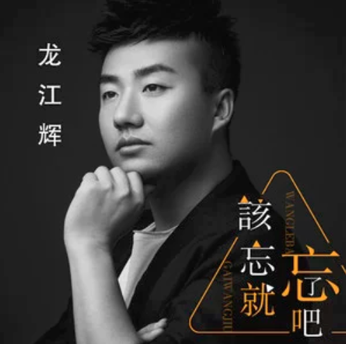 該忘就忘了吧 該忘就忘了吧