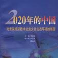 2020年的中國 2020年的中國