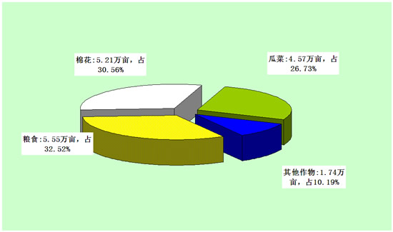 2013年若羌縣農作物種植面積分布情況