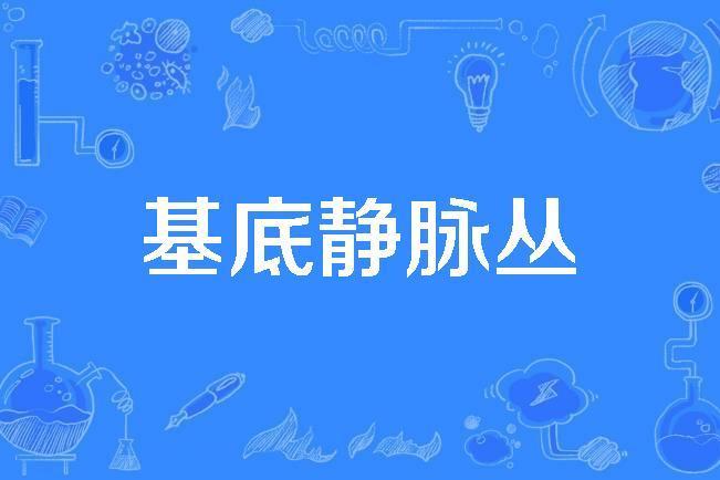 基底靜脈叢 基底靜脈叢