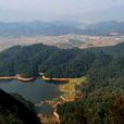 鳳游山 鳳游山
