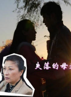 魏辰妃 魏辰妃