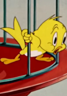 貓和老鼠