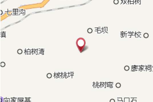 棕花大隊 棕花大隊