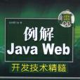 例解Java Web開發技術精髓