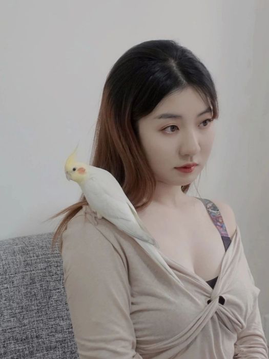 周池(藝術家) 周池(藝術家)