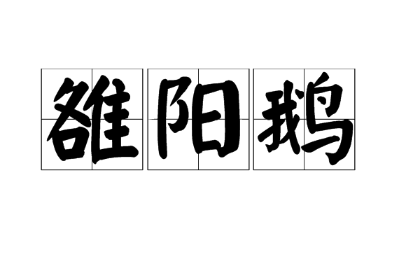 雒陽鵝 雒陽鵝