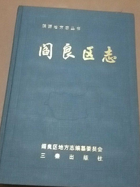 閻良區志 閻良區志