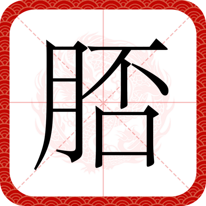 脴 脴